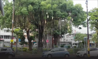 Des ‘baba calebasses’ dangereuses