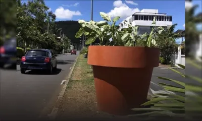Avenue Hillcrest, Quatre-Bornes : des décorations urbaines font sourciller