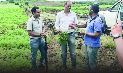 Intempéries : les planteurs remuent ciel et terre pour s’en sortir 
