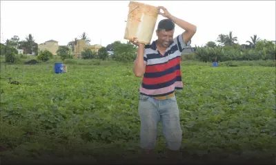 Hiran Ramjan, planteur passionné
