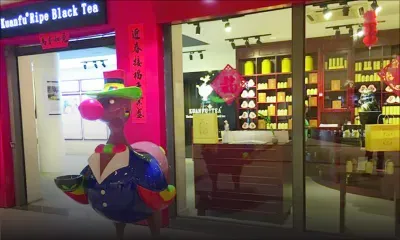 Hailun Kuanfu, directeur de Mauristea Investment Co. Ltd : «Notre production de thé sera multipliée par quatre»