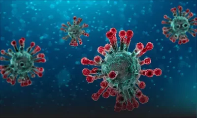 Coronavirus : le comportement des Mauriciens est-il raisonnable ?