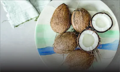 En marge de la fête de la Maha Shivaratree : la vente des fruits grimpe de 10 %