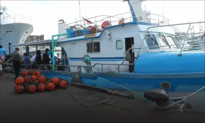 Pêche : six coopératives prennent en main la distribution