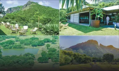 La réserve de Yemen se révèle