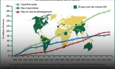 Organismes génétiquement modifiés: vers un contrôle plus rigoureux