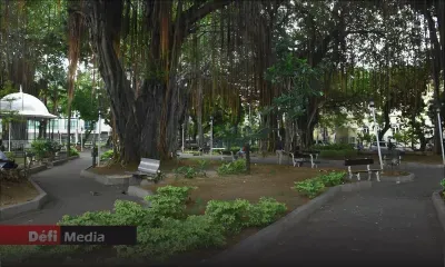 Port-Louis : le corps d’un nourrisson retrouvé dans un sac plastique près du Jardin de la Compagnie