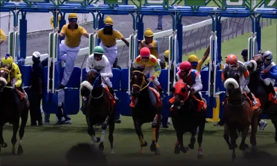  Hippisme : la 6e course annulée