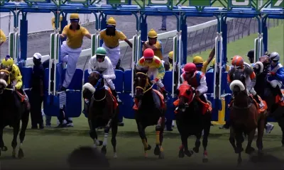 Le programme de la nouvelle saison hippique 2019 dévoilé…