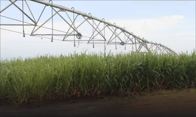 Impact de la sécheresse : l’Irrigation Authority ferme les vannes à moitié