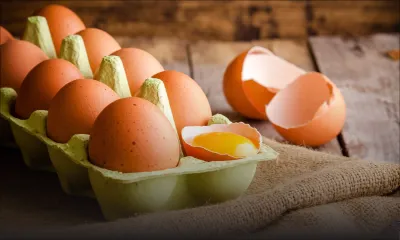 Pas de Fipronil dans les aliments à Maurice