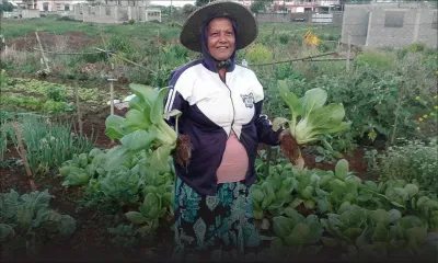 Agro-industrie : cultiver l’autosuffisance alimentaire