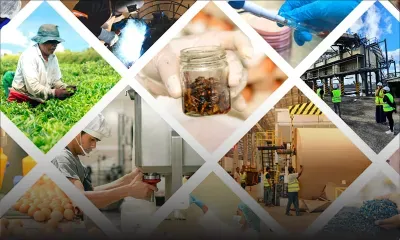 Bioéconomie tropicale : bâtir l’océan Indien de demain