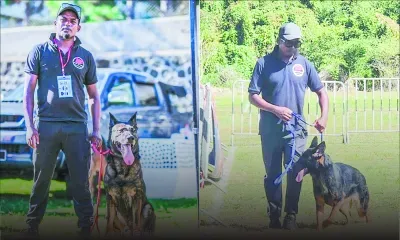 Mika Dowlut : le maître des chiens