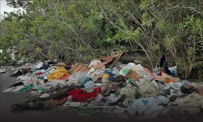 Courrier de lecteurs - À Ébène : des poubelles au milieu des trottoirs  