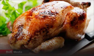 Consommation : 59 200 tonnes de poulet produites en un an