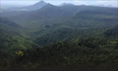 Découverte d’ossements à Plaine-Champagne : un blouson pour aider à identifier la victime 