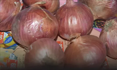 Le prix de l’oignon grimpe sur le marché