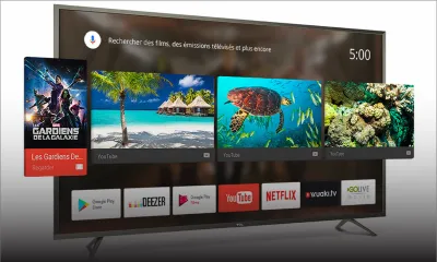 Téléviseurs : les grands écrans plats séduisent