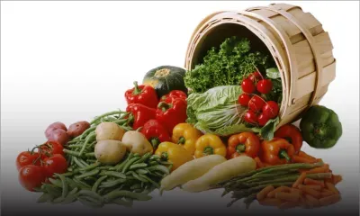 Mercuriales : les prix des légumes font tiquer 