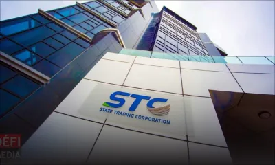 L’importation de bétail par la STC à l’étude  