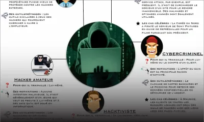 Cybercrime: profil d'un hacker
