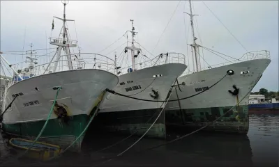 Entrepreneuriat - Alimentation : Rodia Fishing, un parcours contre vents et marées