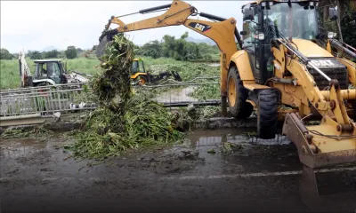 Maurice vs le changement climatique : la bataille loin d’être gagnée