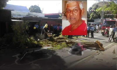 À Goodlands: une branche tombe et fracture le crâne d’un motocycliste