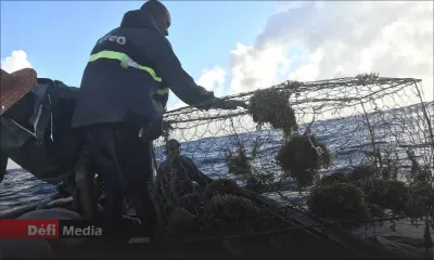 Les pêcheurs pourront retirer leurs casiers ce vendredi