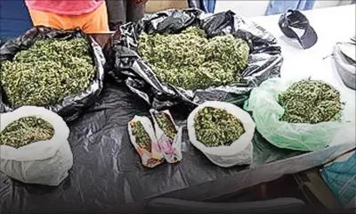 Les suspects : «Kan nou ti al kass nik mouss zonn, nou finn rass gandia»