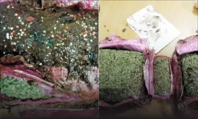 En provenance d’Afrique du sud - Quatre arrestations : 4,51 kg de gandia retrouvés dans des gâteaux au chocolat