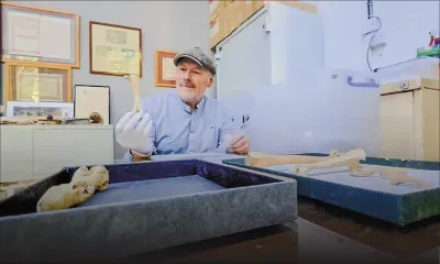 Des os de dodo surgissent d’une chasse… d’escargots !