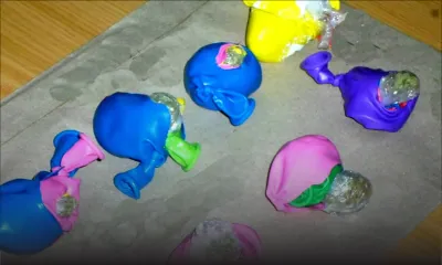 À Plaisance: il dissimule du cannabis dans des ballons