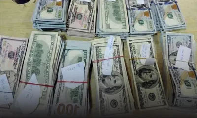 Un chien-renifleur qui traque les dollars et les euros