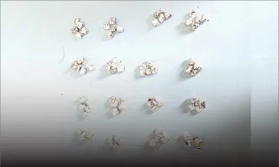 Lutte anti-drogue : quatre présumés dealers de drogue écroués