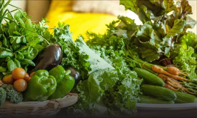 Biofarming : 45 planteurs en lice pour le label bio