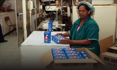 Consommation : les nouvelles saveurs du thé séduisent les étrangers