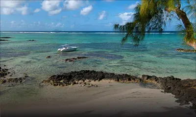 Plage de Roches-Noires : le comblement de la plage avec du sable noir déplaît