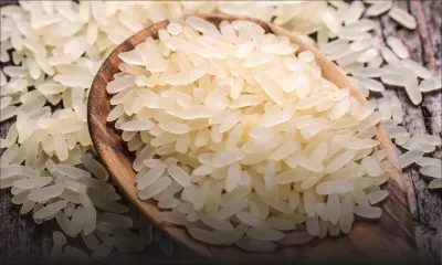 Délégation pakistanaise à Maurice - Classification du riz basmati : les pourparlers débutent