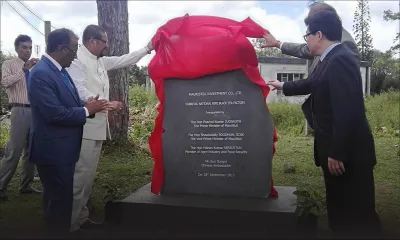 Production de thé : l’usine de Dubreuil renaît de ses cendres