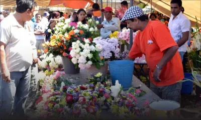 En marge de la fête des Morts: croissance dans la vente de fleurs