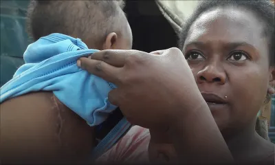 Élevage de porc illégal à Riche-Terre: un enfant d’un an infecté au poumon