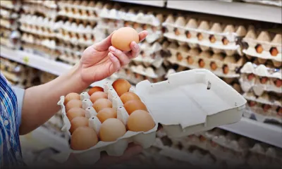 Oeufs : une production plus ou moins stable malgré l’hiver