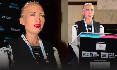 Sophia, la star des humanoïdes, sous le ciel mauricien