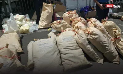 Pamplemousses : saisie de 92 500 sacs et produits plastiques interdits