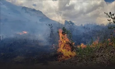 Rivière-des-Créoles : les pompiers ont eu fort à faire