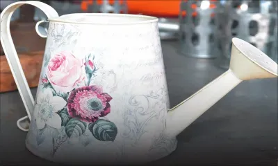 Davina Seevathean ferblantière: la passion et le savoir-faire