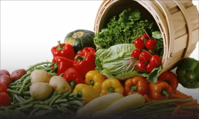 Consommation - Légumes : plusieurs baisses de prix après les fortes pluies 