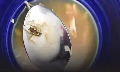 Un cafard retrouvé dans une soupe